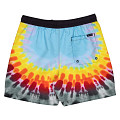 Santa Cruz Dressen Rose Crew Three boardshorts